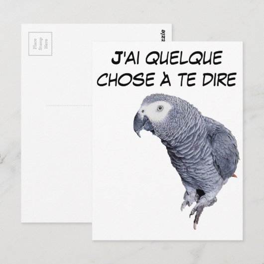 Gamme Perroquet - Gris du Gabon Briefkaart (Voorkant / Achterkant)