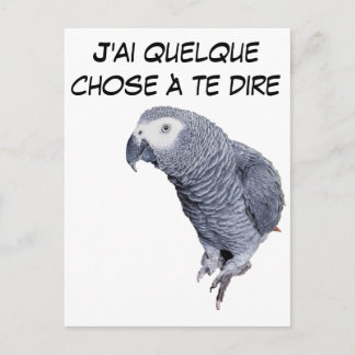 Gamme Perroquet - Gris du Gabon Briefkaart