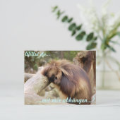 Gammelaffe Briefkaart (Staand voorkant)