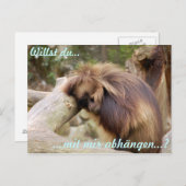 Gammelaffe Briefkaart (Voorkant / Achterkant)