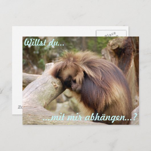 Gammelaffe Briefkaart (Voorkant / Achterkant)