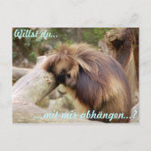 Gammelaffe Briefkaart (Voorkant)