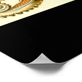 Gamochonia - Bord 54 - Kunstformen der Natur Poster (Hoek)