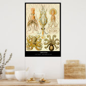 Gamochonia - Bord 54 - Kunstformen der Natur Poster (Keuken)