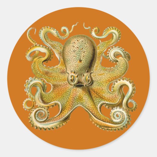 Gamochonia-Stickers Ronde Sticker (Voorkant)