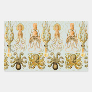 Gamochonia van Ernst Haeckel Rechthoekige Sticker