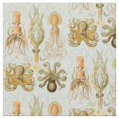 Gamochonia van Ernst Haeckel Stof (Close Up)