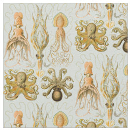 Gamochonia van Ernst Haeckel Stof