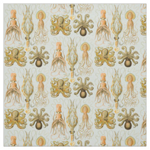 Gamochonia van Ernst Haeckel Stof