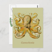 Gamochonia Vertical Postcard Briefkaart (Voorkant / Achterkant)