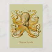 Gamochonia Vertical Postcard Briefkaart (Voorkant)