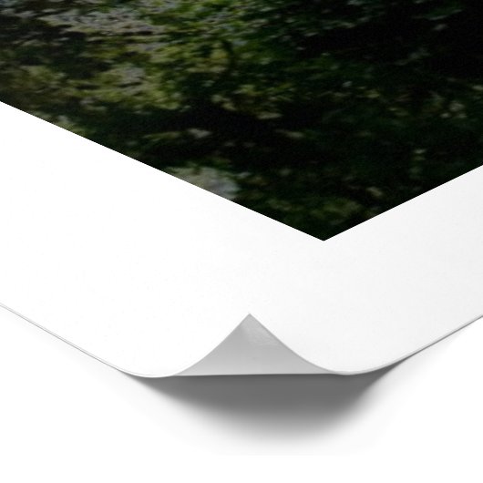 Gan Eden Poster (Hoek)