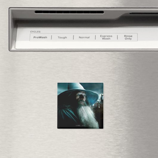 Gandalf bij Dol Guldur Magneet (Insitu (Vaatwasser))