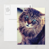 Gandalf Briefkaart (Voorkant / Achterkant)