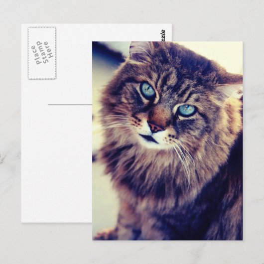 Gandalf Briefkaart (Voorkant / Achterkant)