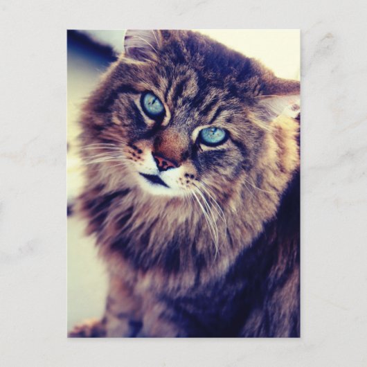 Gandalf Briefkaart (Voorkant)