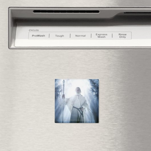 GANDALF™ gloeien Magneet (Insitu (Vaatwasser))