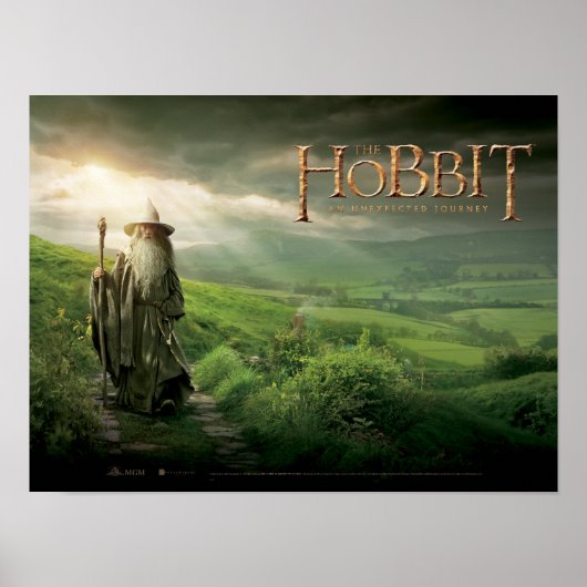 Gandalf in SHIRE™ Poster (Voorkant)