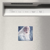 GANDALF™ in strijd Magneet (Insitu (Vaatwasser))