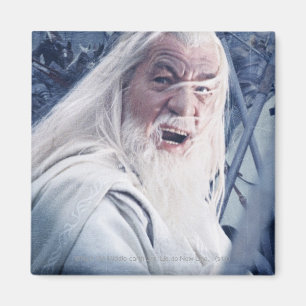 GANDALF™ in strijd Magneet