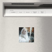 GANDALF™ met personeel Magneet (Insitu (Vaatwasser))