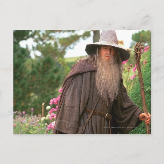 GANDALF™ met Pet Briefkaart (Voorkant)