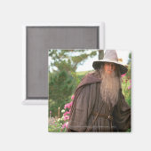 GANDALF™ met Pet Magneet (Voorkant / Achterkant)