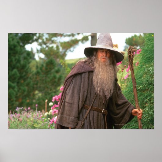 GANDALF™ met Pet Poster (Voorkant)