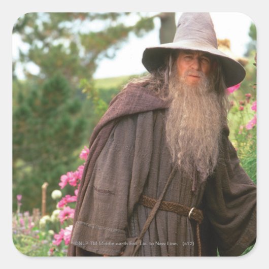 GANDALF™ met Pet Vierkante Sticker (Voorkant)