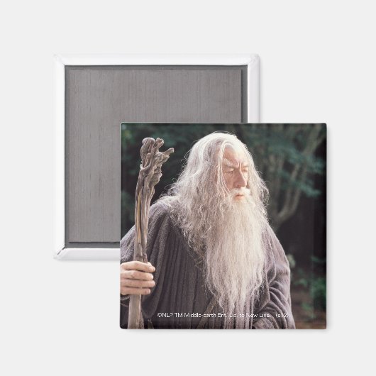 GANDALF™ Permanent Magneet (Voorkant / Achterkant)