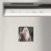 GANDALF™ Permanent Magneet (Insitu (Vaatwasser))