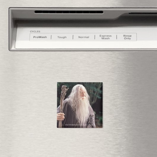 GANDALF™ Permanent Magneet (Insitu (Vaatwasser))