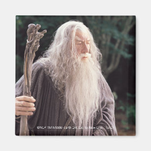 GANDALF™ Permanent Magneet