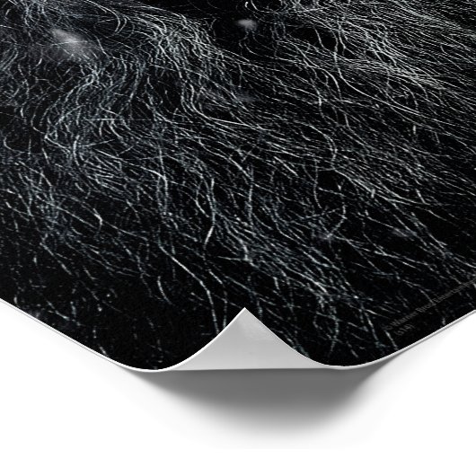 Gandalf Sluiten Poster (Hoek)