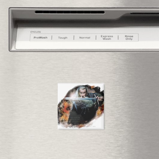 Gandalf With Sword In Battle Magneet (Insitu (Vaatwasser))