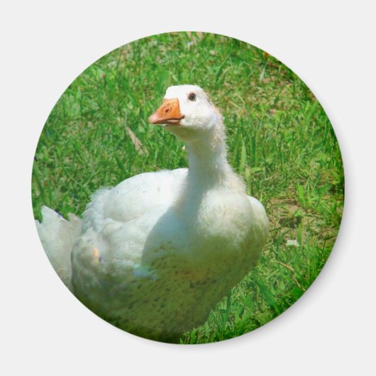 Gander Magneet (Voorkant)