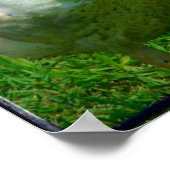 Gander Poster (Hoek)