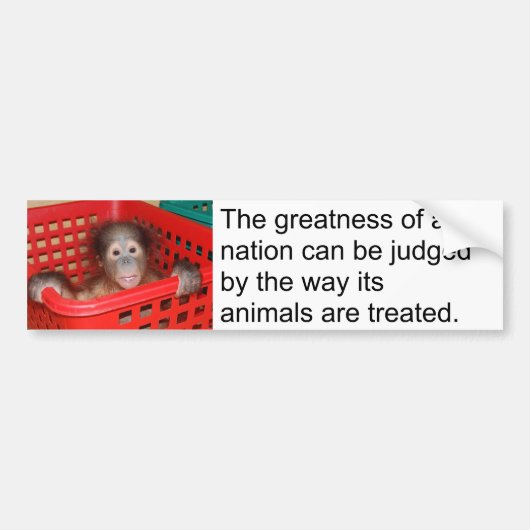 Gandhi Animal Quote Cute Baby Bumpersticker (Voorkant)
