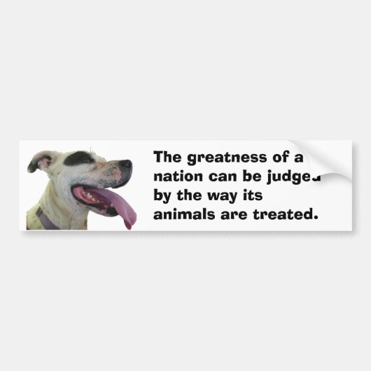 Gandhi Animal Quote Dog Bumpersticker (Voorkant)
