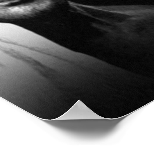 Gandhi be the change Wisdom Quote Poster (Hoek)