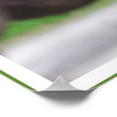 Gandhi Quote, de dieren goed behandelen Poster (Hoek)