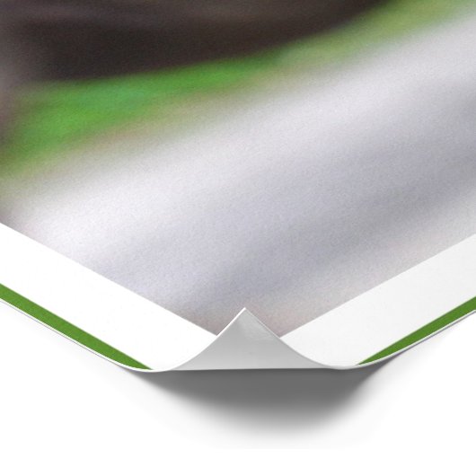 Gandhi Quote, de dieren goed behandelen Poster (Hoek)