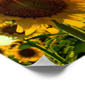 Gandhi Quote op Stilte Poster (Hoek)