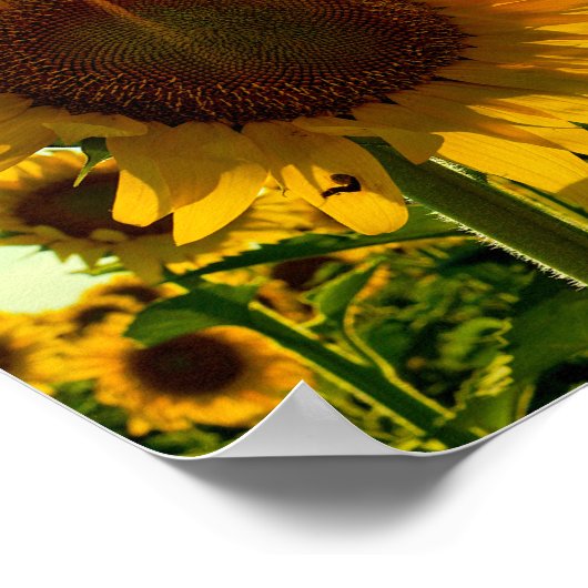 Gandhi Quote op Stilte Poster (Hoek)