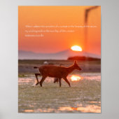 Gandhi Sunset Quote Poster (Voorkant)