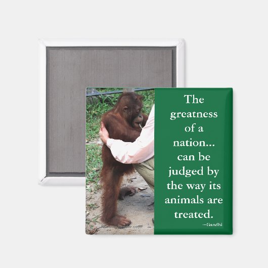 Gandhi's Animal Quotation Magneet (Voorkant / Achterkant)