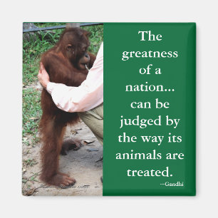 Gandhi's Animal Quotation Magneet