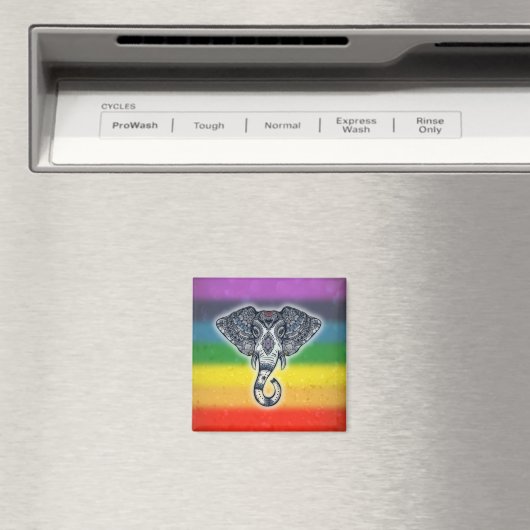 Ganesh Magnet (Insitu (Vaatwasser))