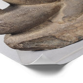 Ganesh, van Tuol Pheak Kin Poster (Hoek)