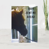 GANG HEEFT ME GEZEGD OM TE ZEGGEN DAT ZIJ BIRTHDAY KAART (Voorkant)